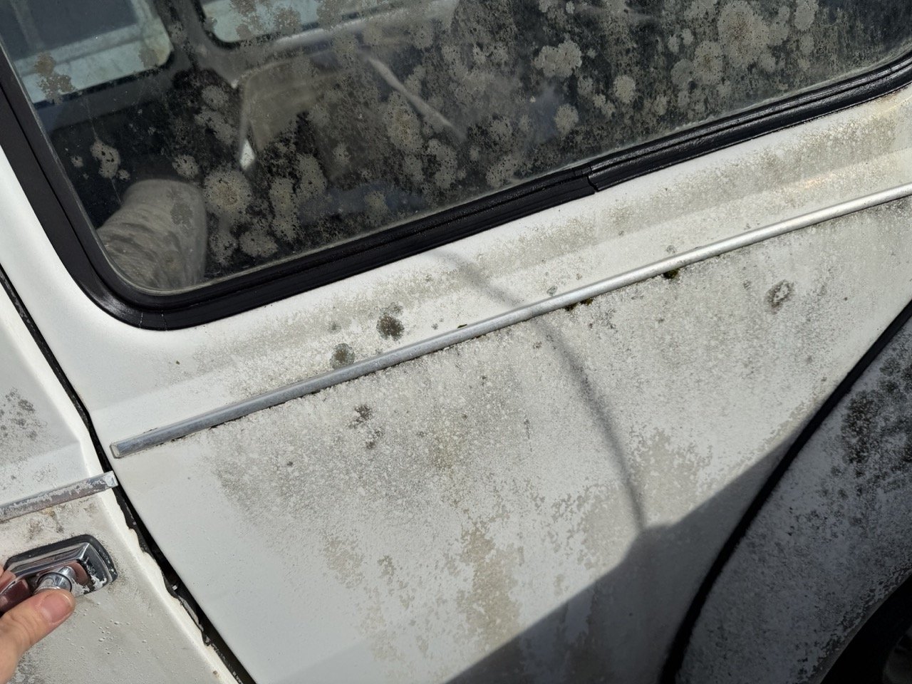 IMG_8595 – grande.jpeg