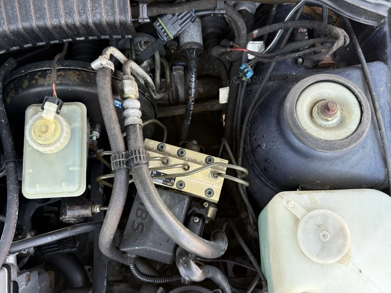 IMG_2425 – grande.jpeg