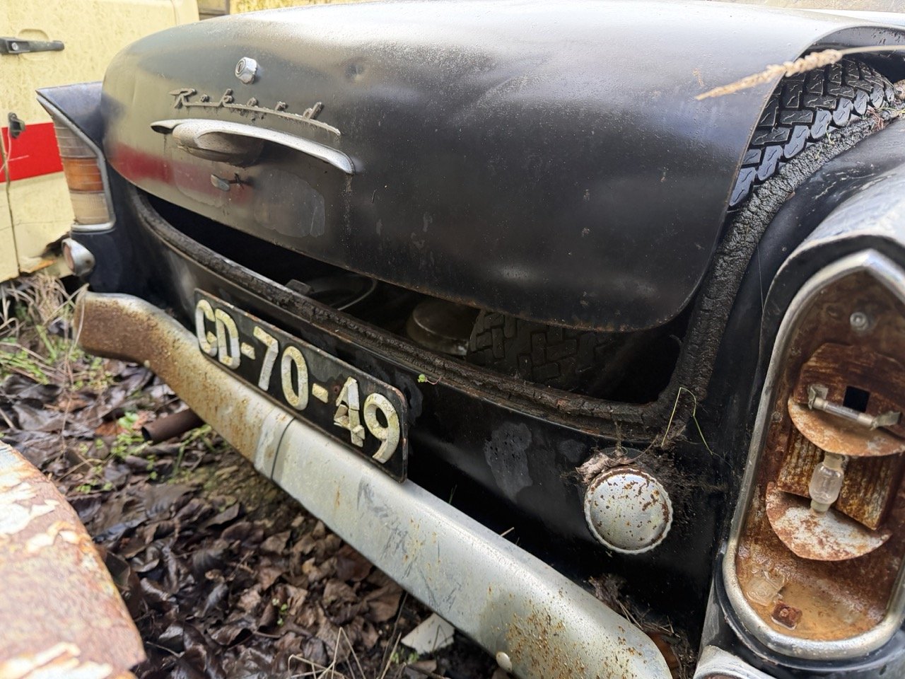 IMG_5049 – grande.jpeg