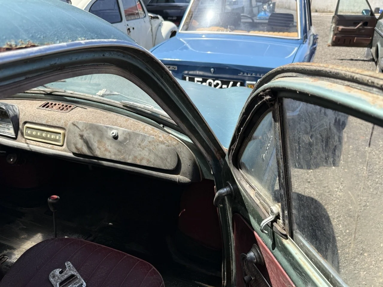 IMG_0865 – grande.jpeg