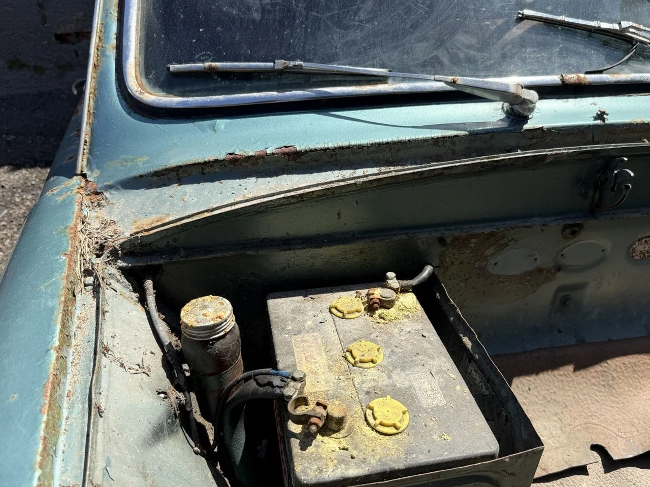 IMG_0842 – grande.jpeg