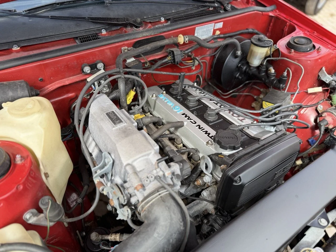 IMG_2352 – grande.jpeg