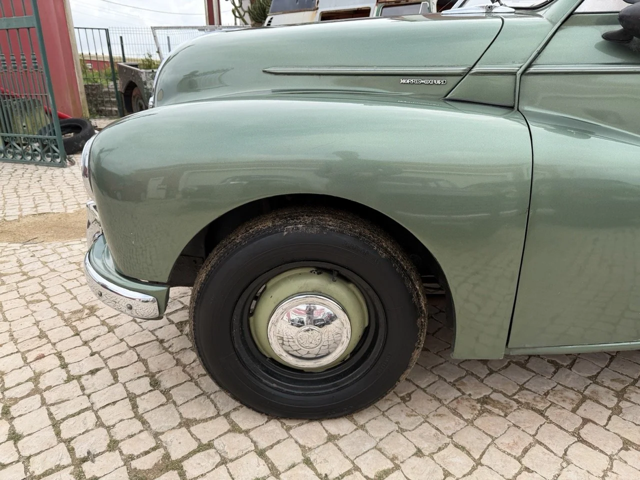 IMG_9882 – grande.jpeg