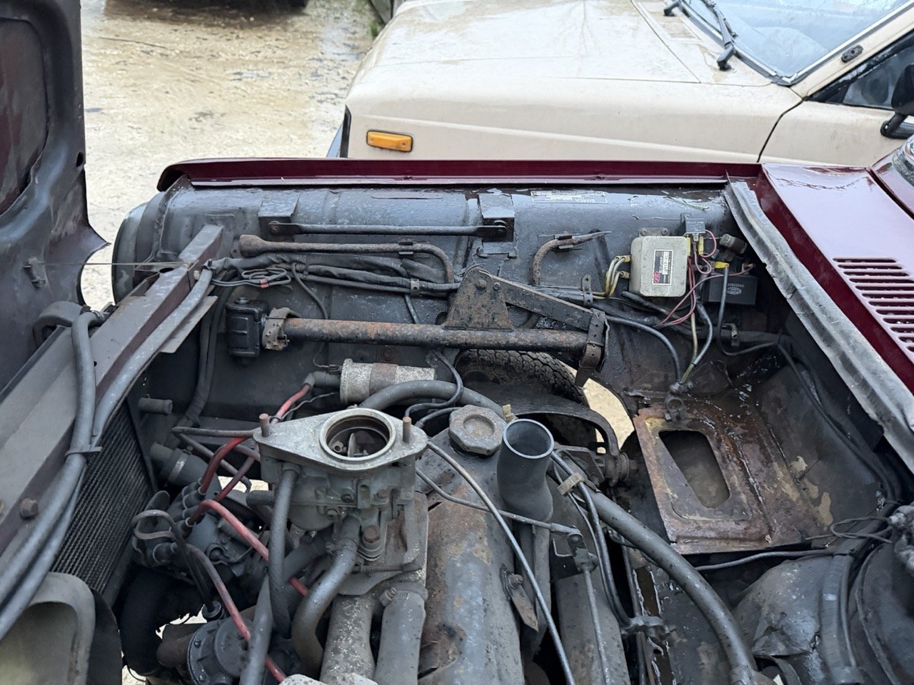 IMG_0308 – grande.jpeg