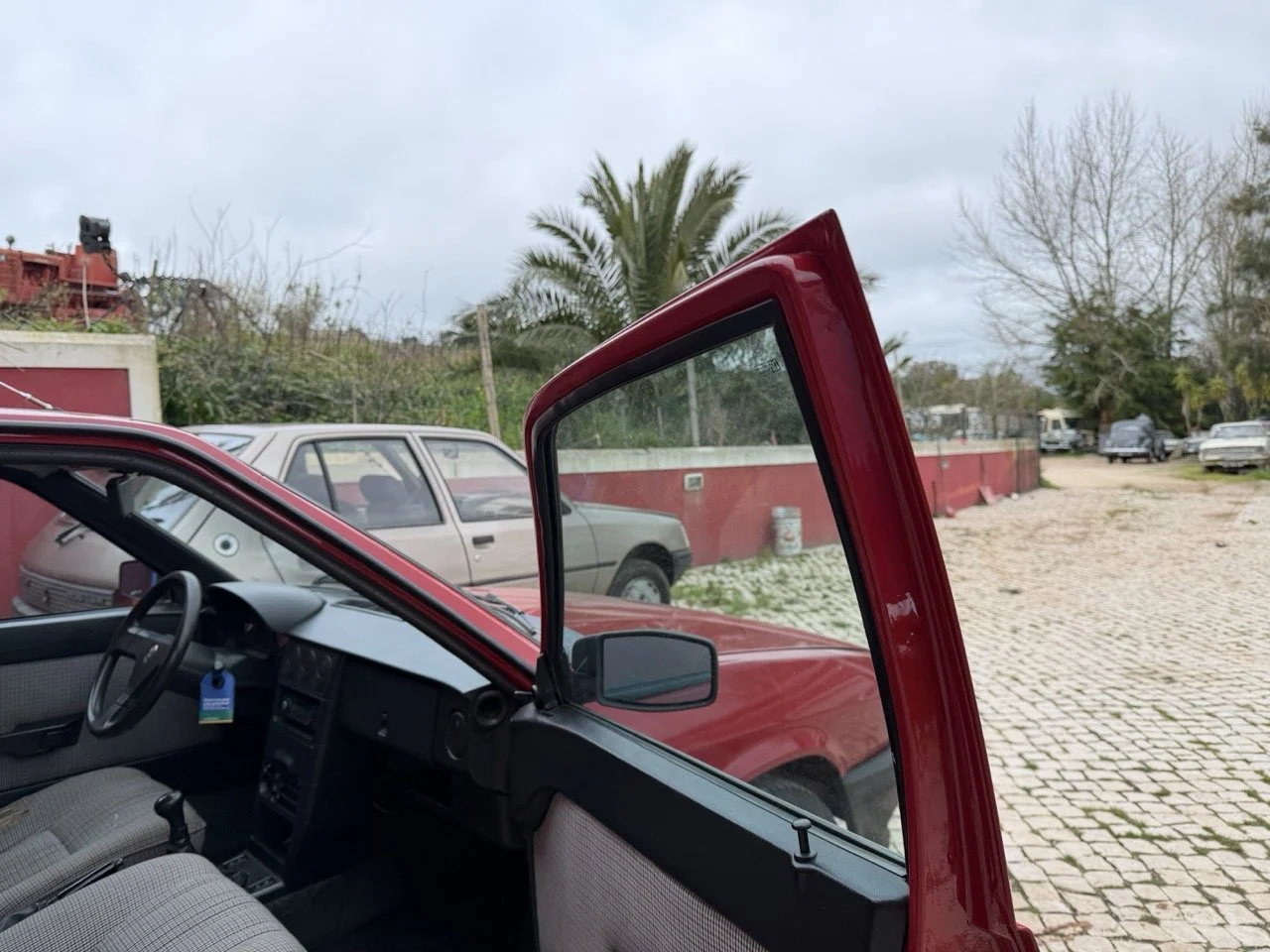 IMG_3450 – grande.jpeg