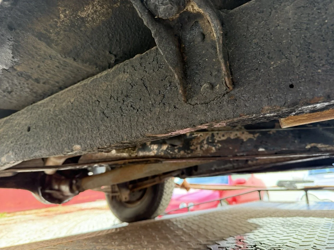 IMG_1782 – grande.jpeg