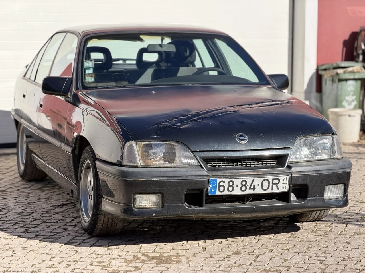 IMG_2691 – grande.jpeg