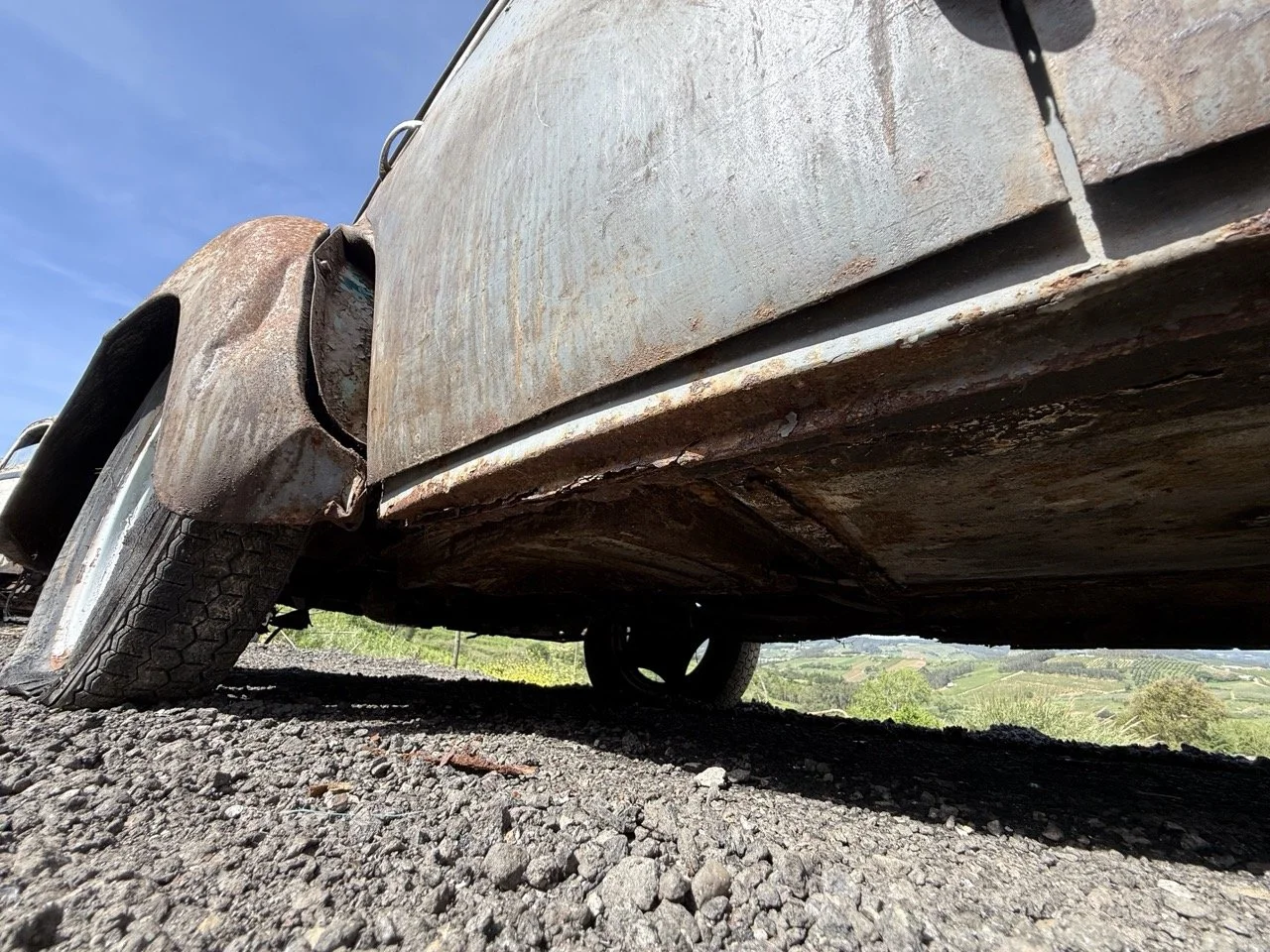 IMG_0294 – grande.jpeg