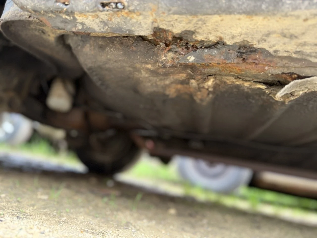 IMG_4964 – grande.jpeg