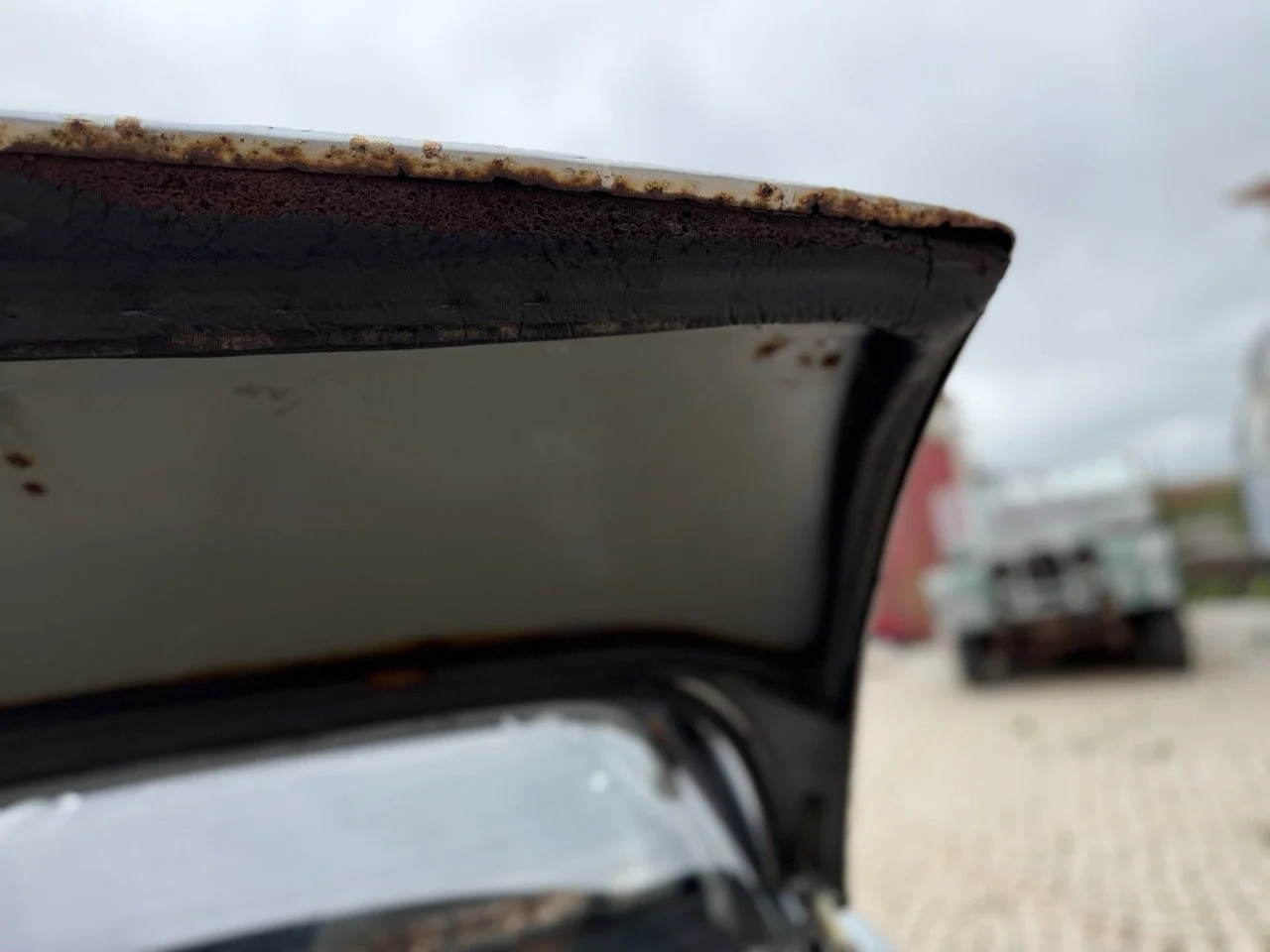 IMG_3712 – grande.jpeg