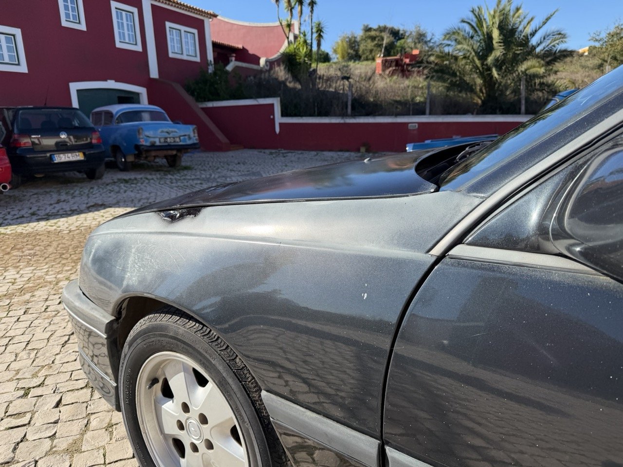 IMG_2813 – grande.jpeg