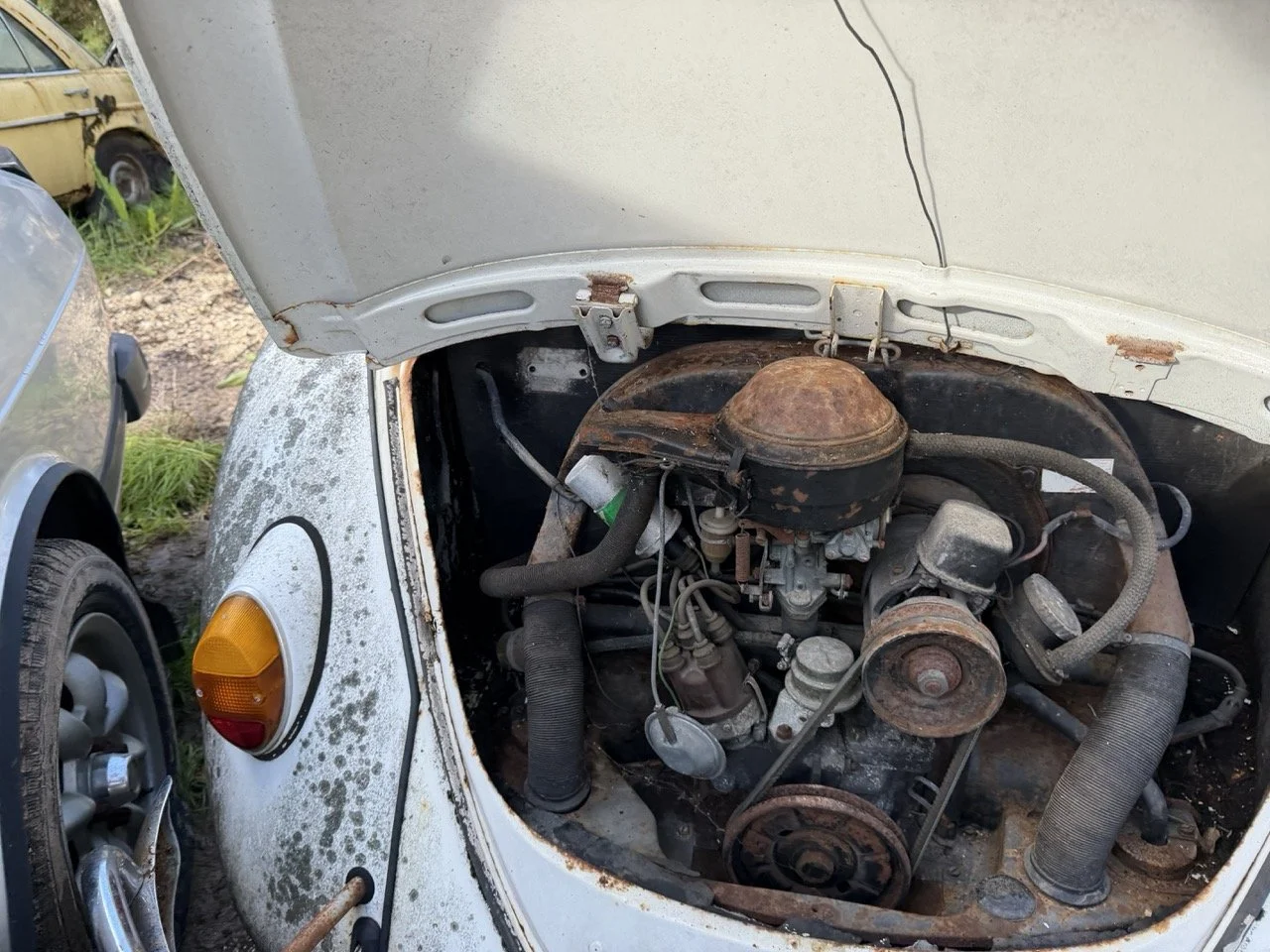 IMG_8574 – grande.jpeg