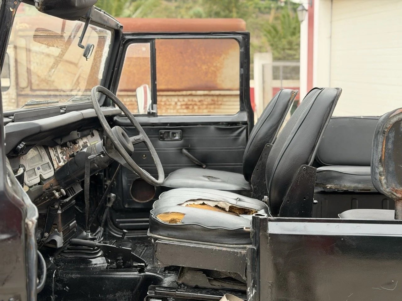 IMG_6471 – grande.jpeg