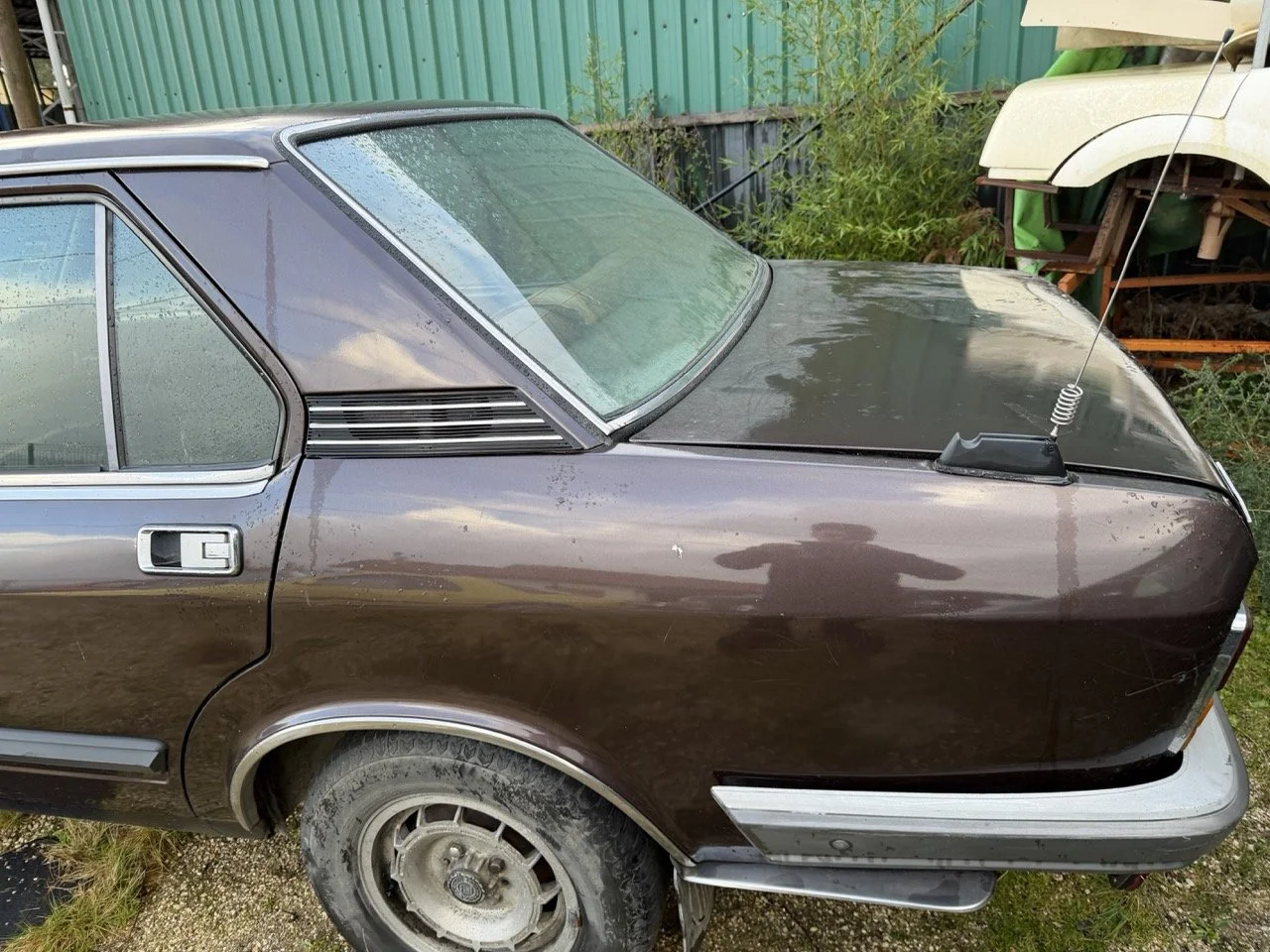 IMG_5250 – grande.jpeg