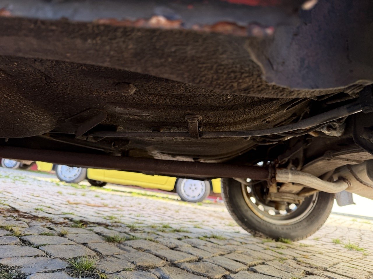 IMG_7230 – grande.jpeg