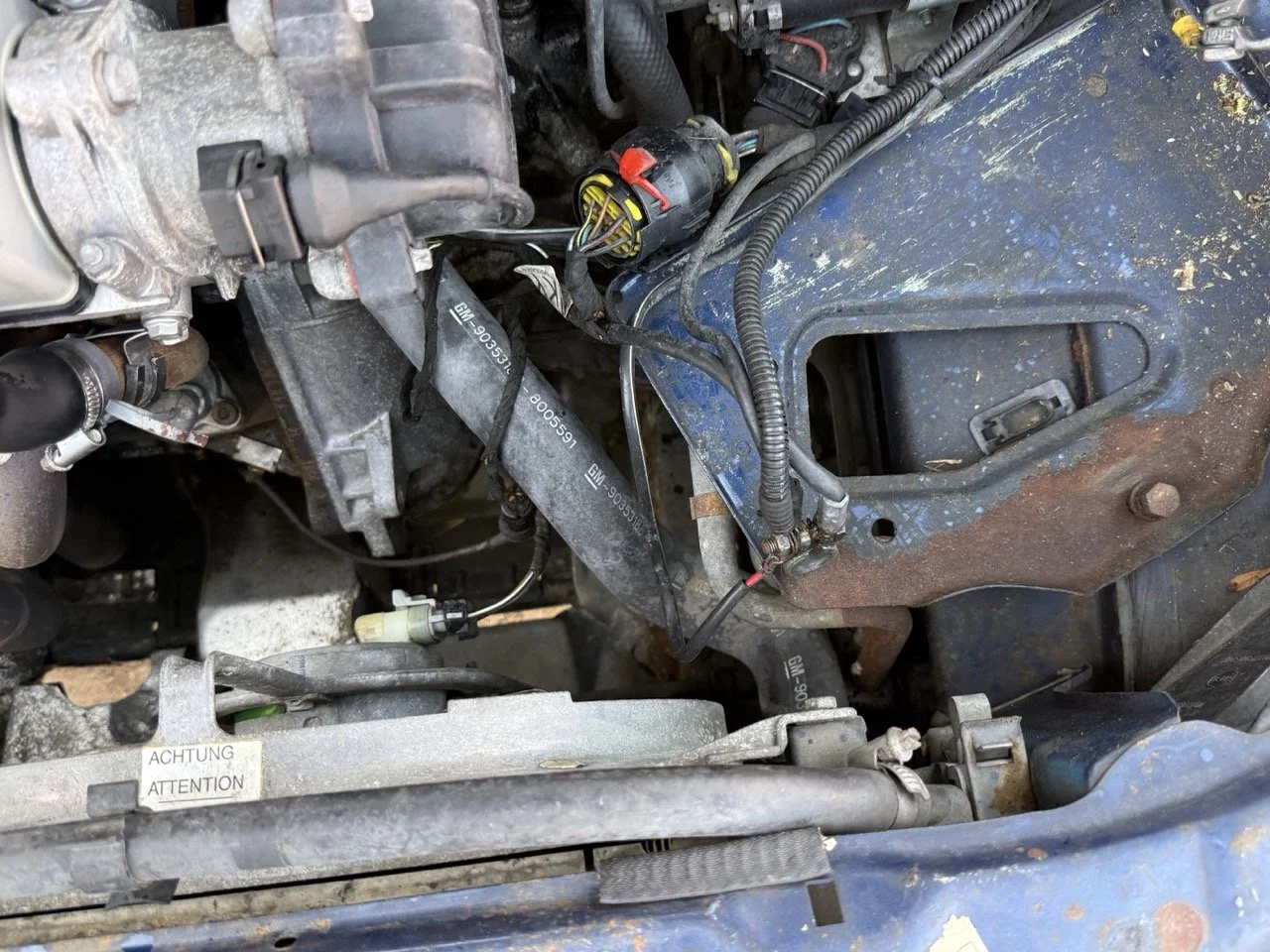 IMG_2423 – grande.jpeg