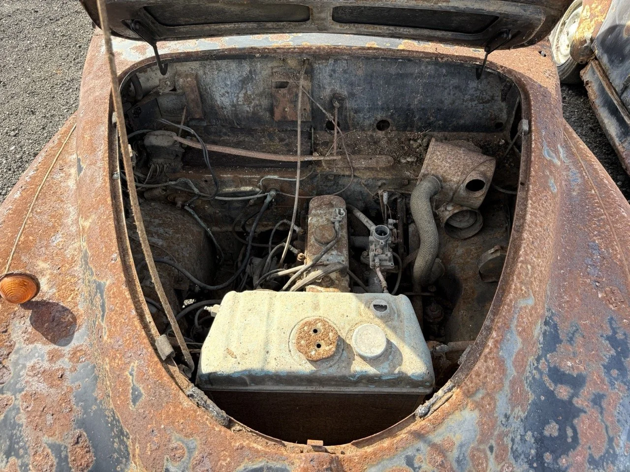 IMG_0444 – grande.jpeg