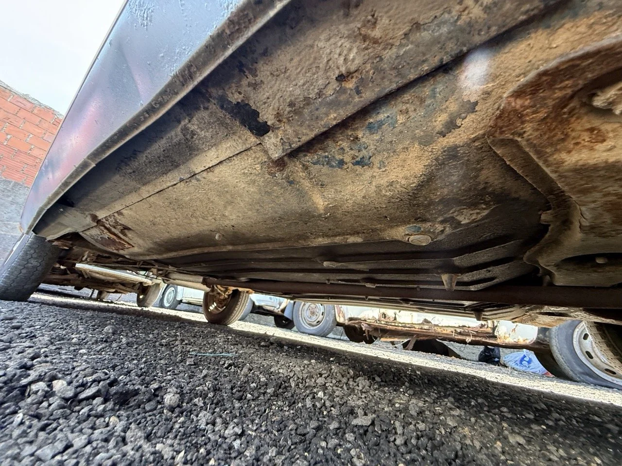 IMG_0816 – grande.jpeg