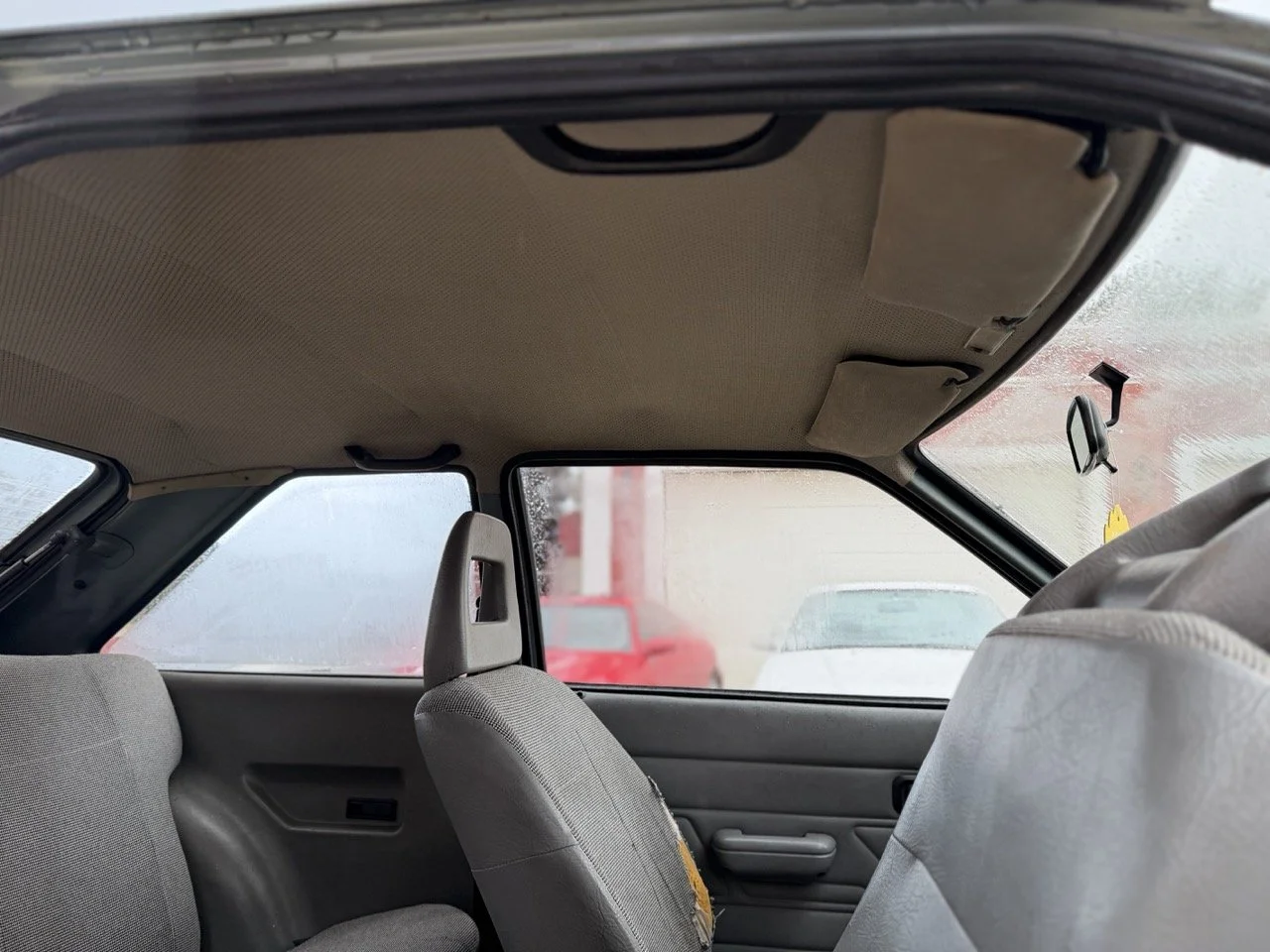 IMG_0595 – grande.jpeg