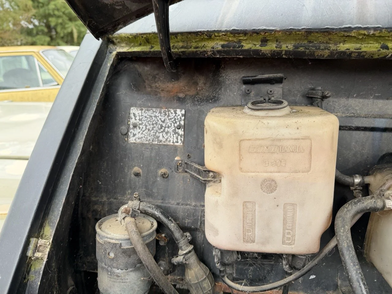 IMG_1364 – grande.jpeg