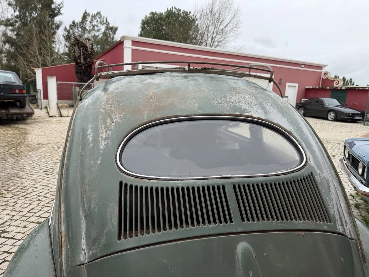 IMG_1222 – grande.jpeg