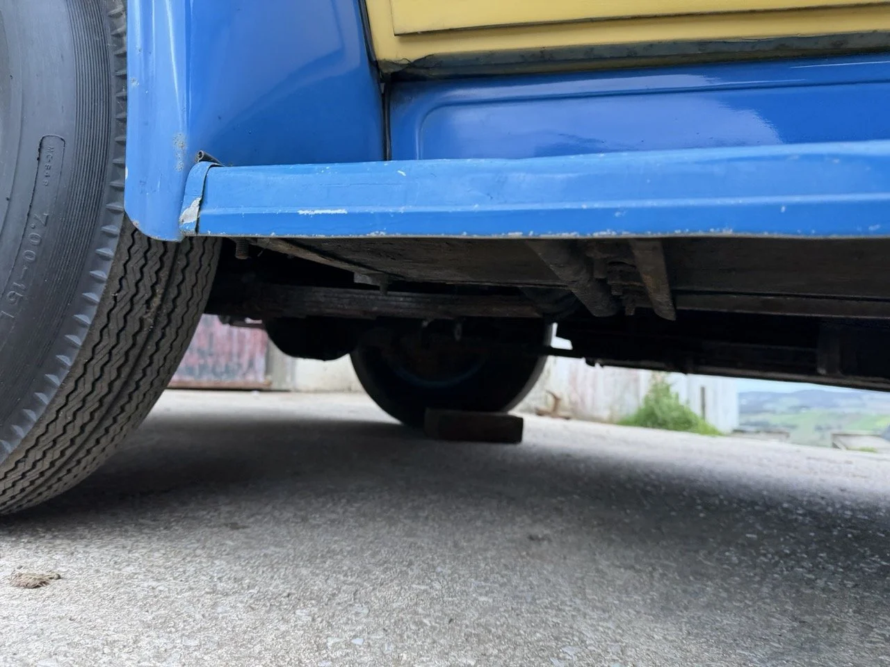 IMG_1593 – grande.jpeg