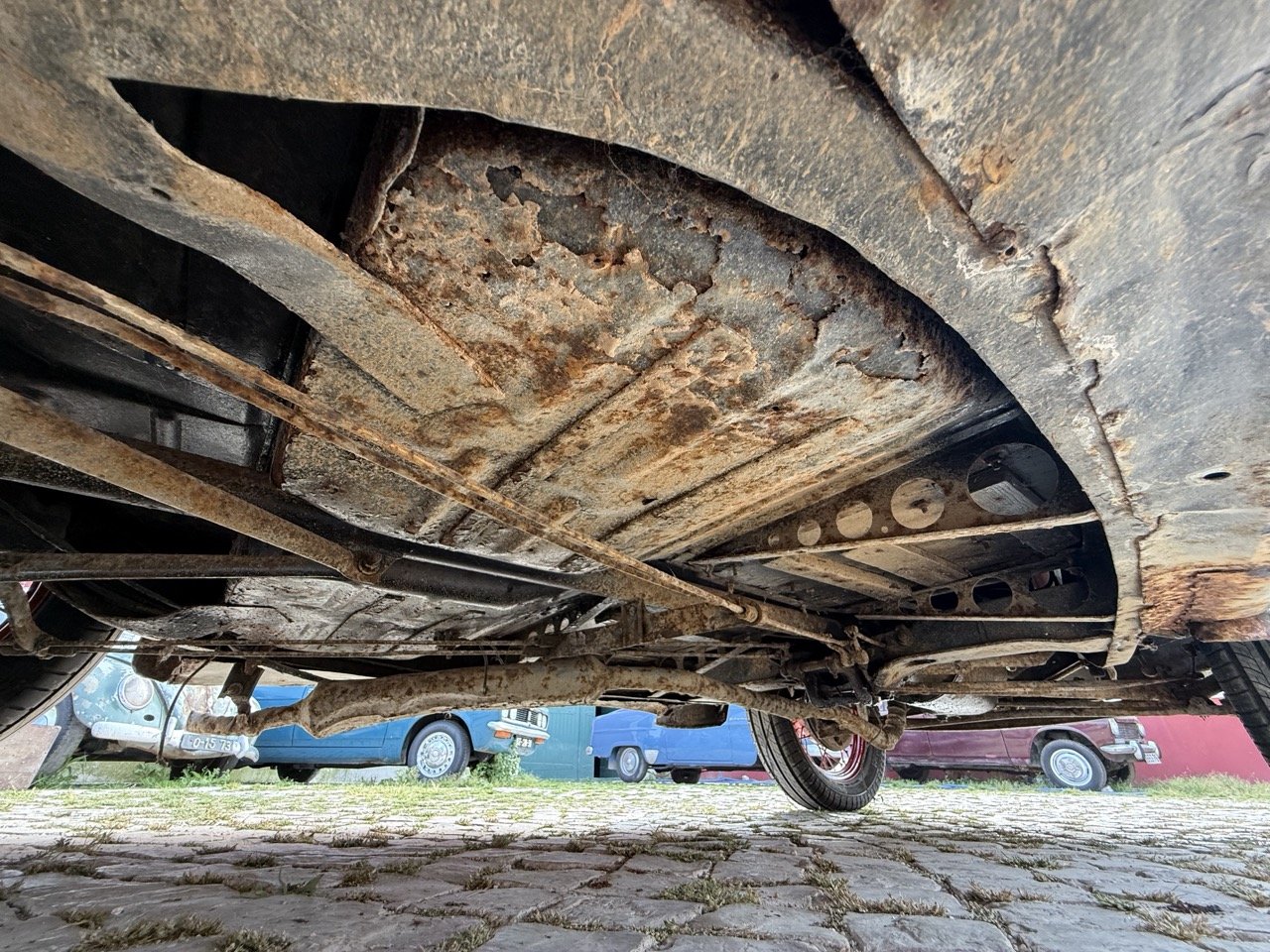 IMG_3743 – grande.jpeg