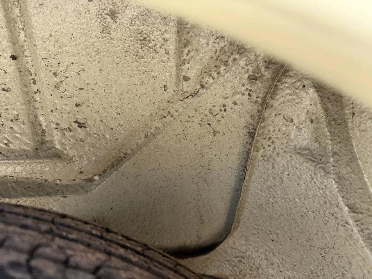 IMG_6762 – grande.jpeg