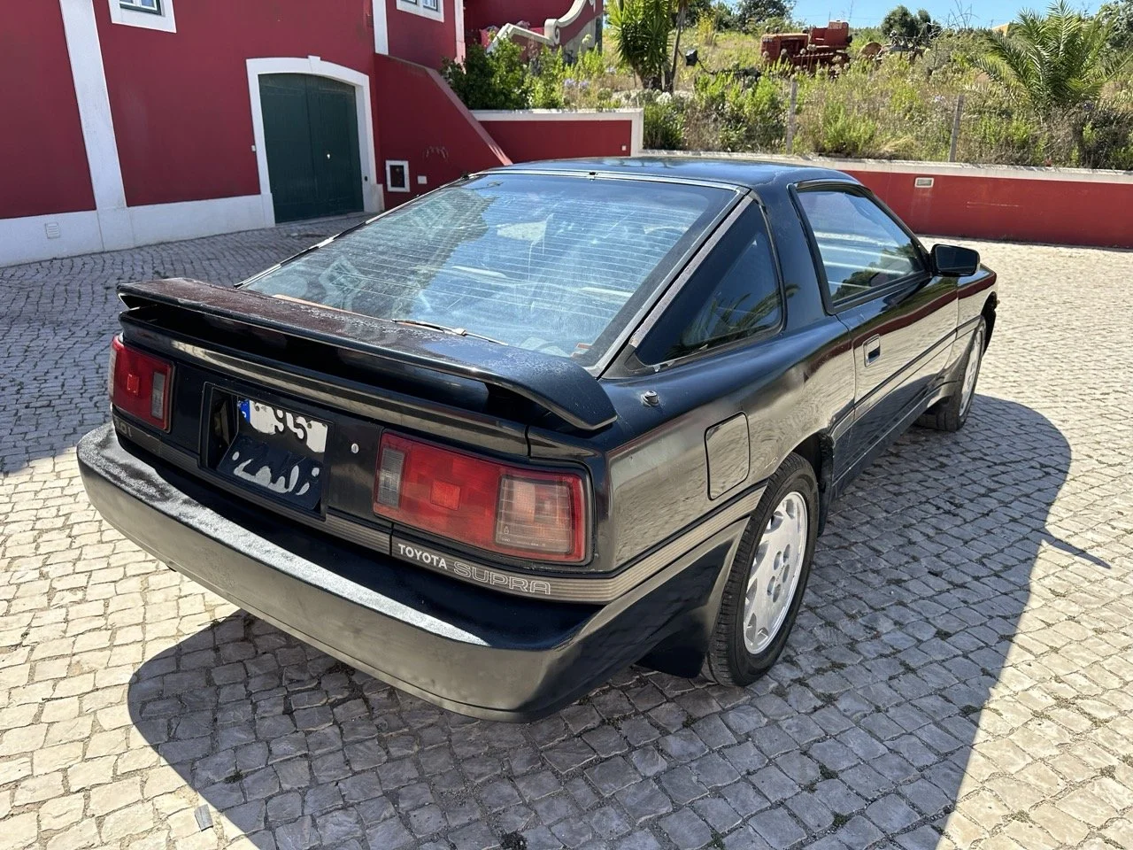 IMG_3035 – grande.jpeg