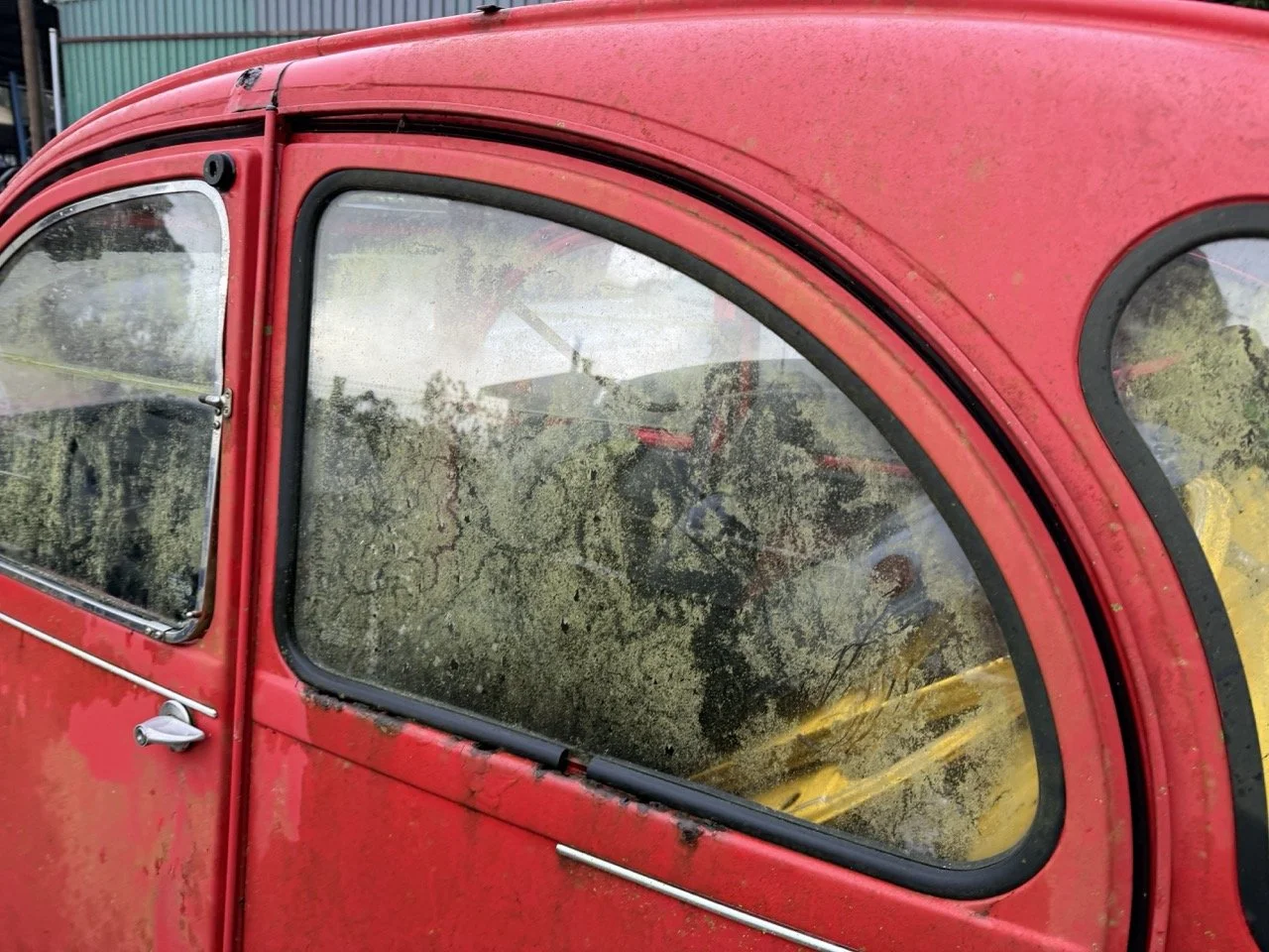 IMG_5485 – grande.jpeg