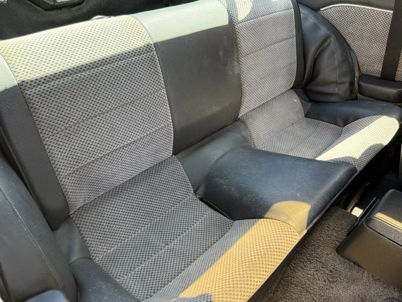 IMG_2074 – grande.jpeg