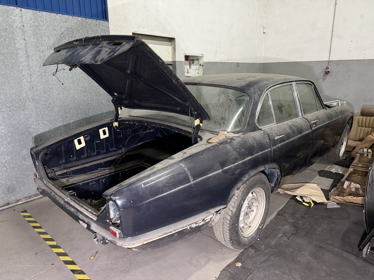 IMG_4237 – grande.jpeg