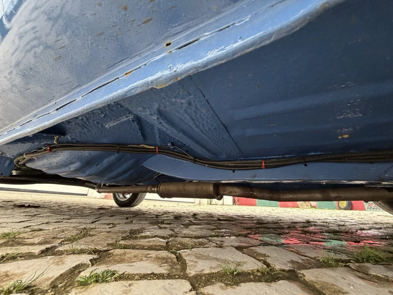 IMG_6133 – grande.jpeg