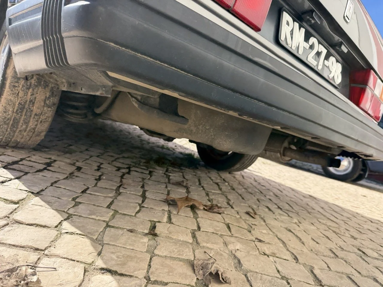 IMG_2013 – grande.jpeg