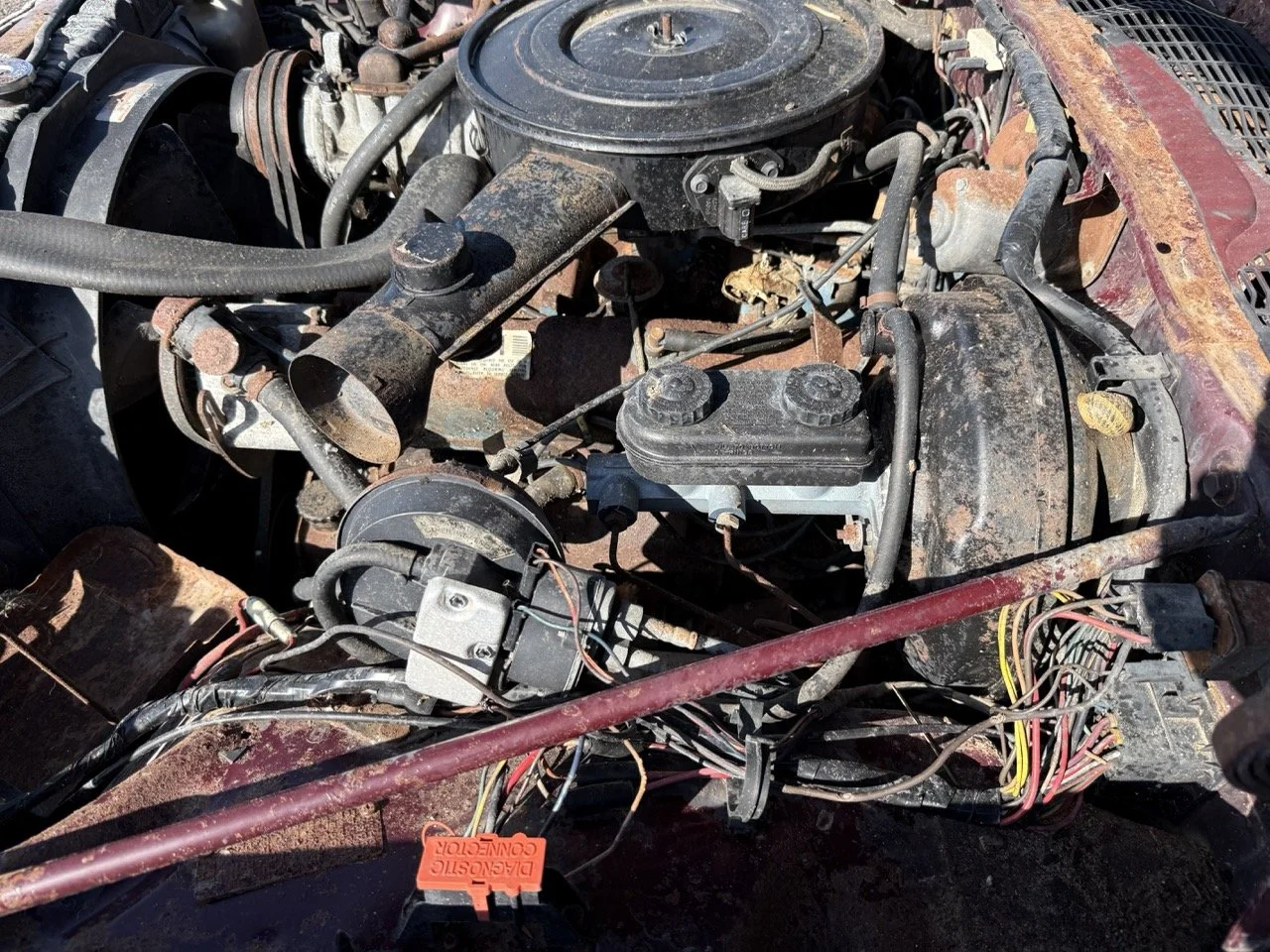 IMG_3038 – grande.jpeg