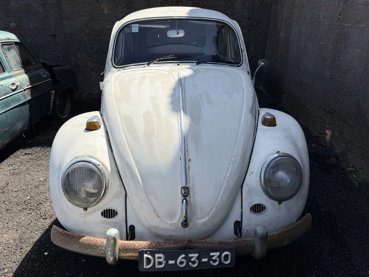 IMG_0668 – grande.jpeg