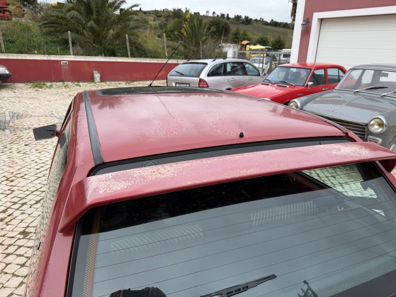 IMG_3620 – grande.jpeg