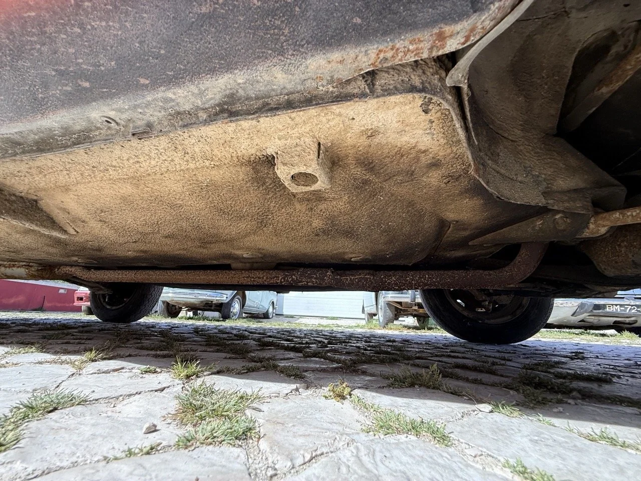 IMG_2369 – grande.jpeg