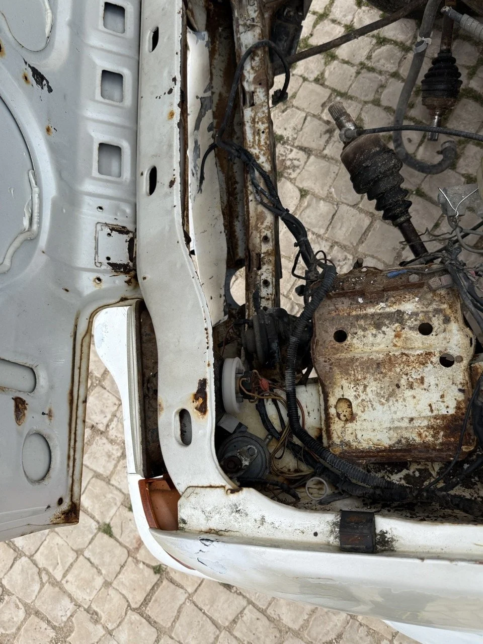 IMG_8552 – grande.jpeg