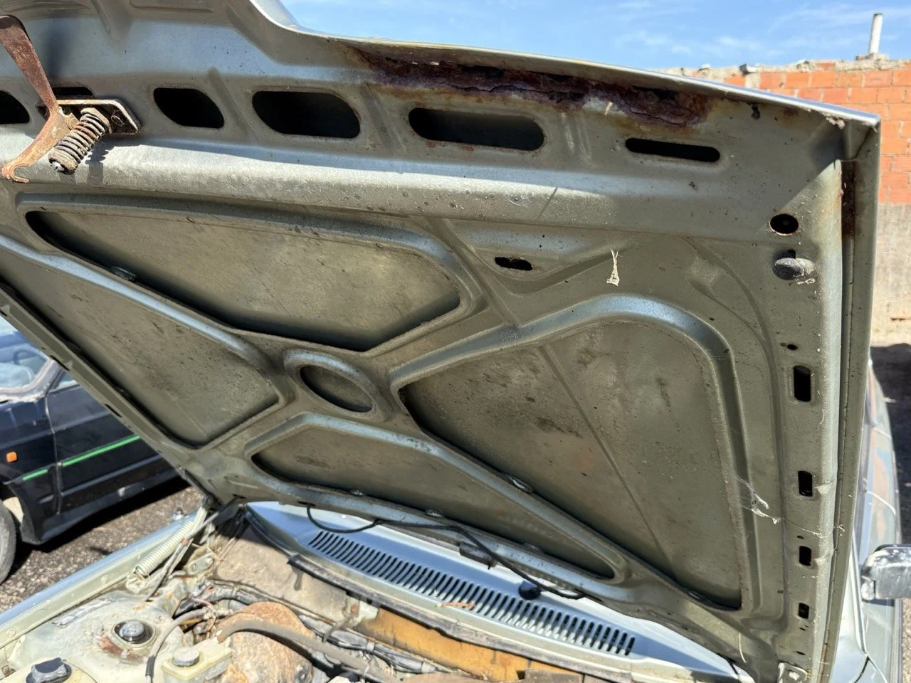 IMG_1171 – grande.jpeg