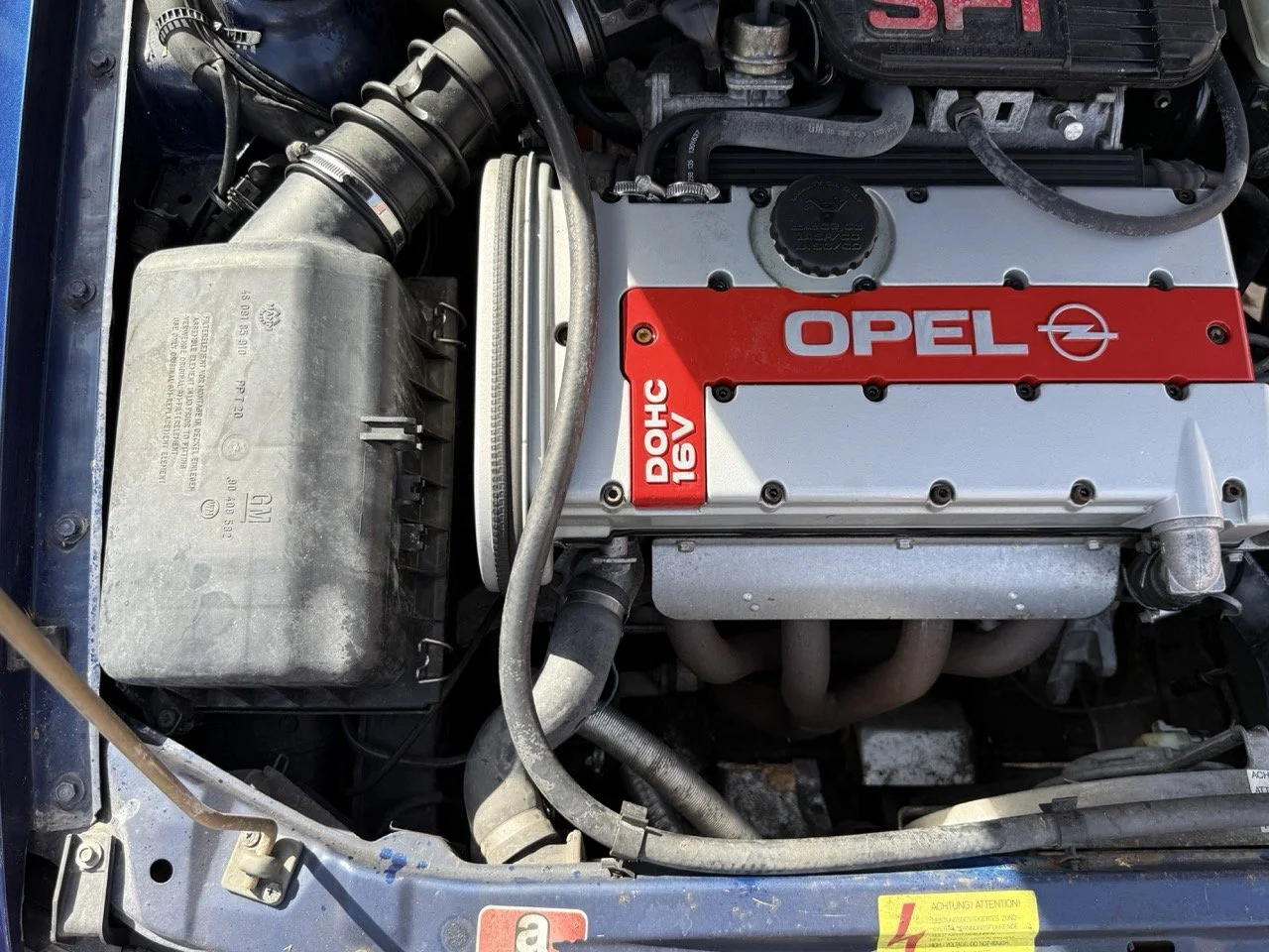 IMG_2420 – grande.jpeg