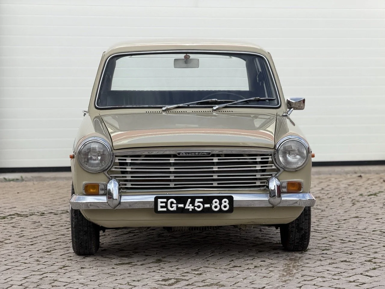 IMG_4008 – grande.jpeg