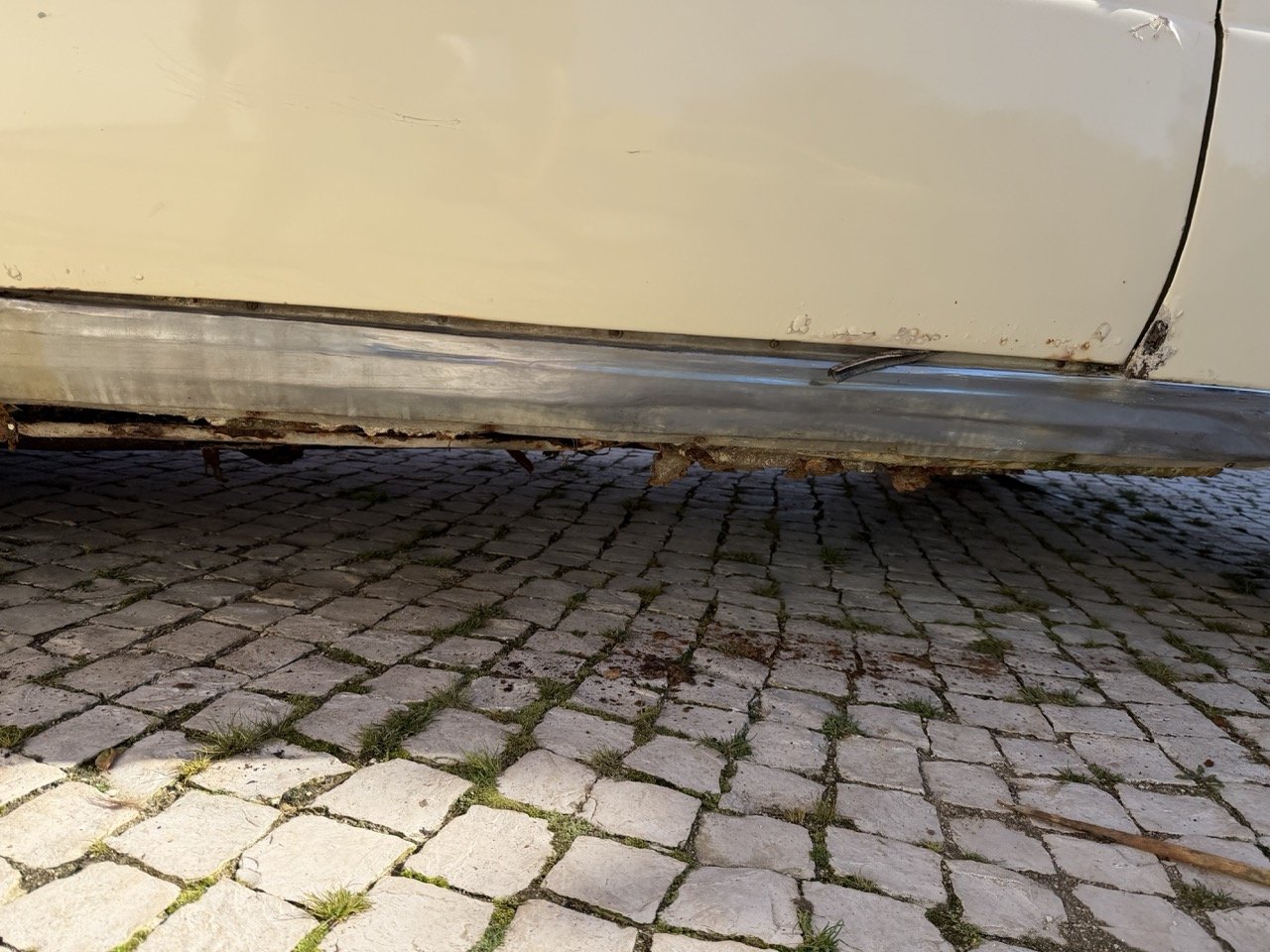 IMG_7054 – grande.jpeg