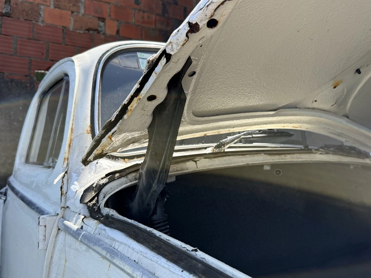 IMG_0712 – grande.jpeg