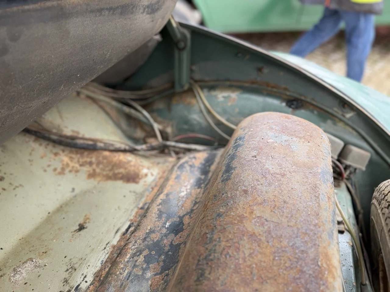 IMG_1173 – grande.jpeg