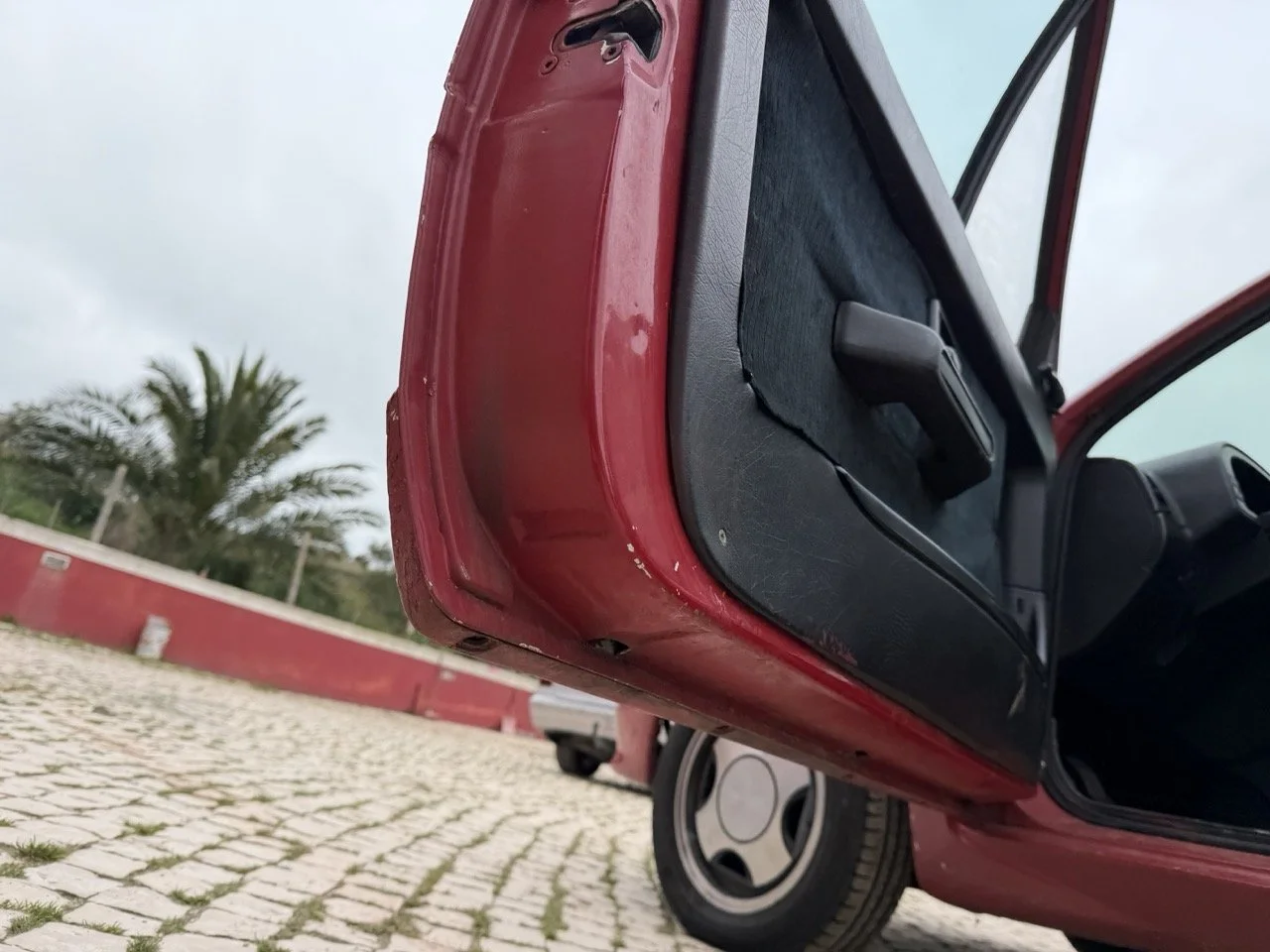 IMG_3588 – grande.jpeg