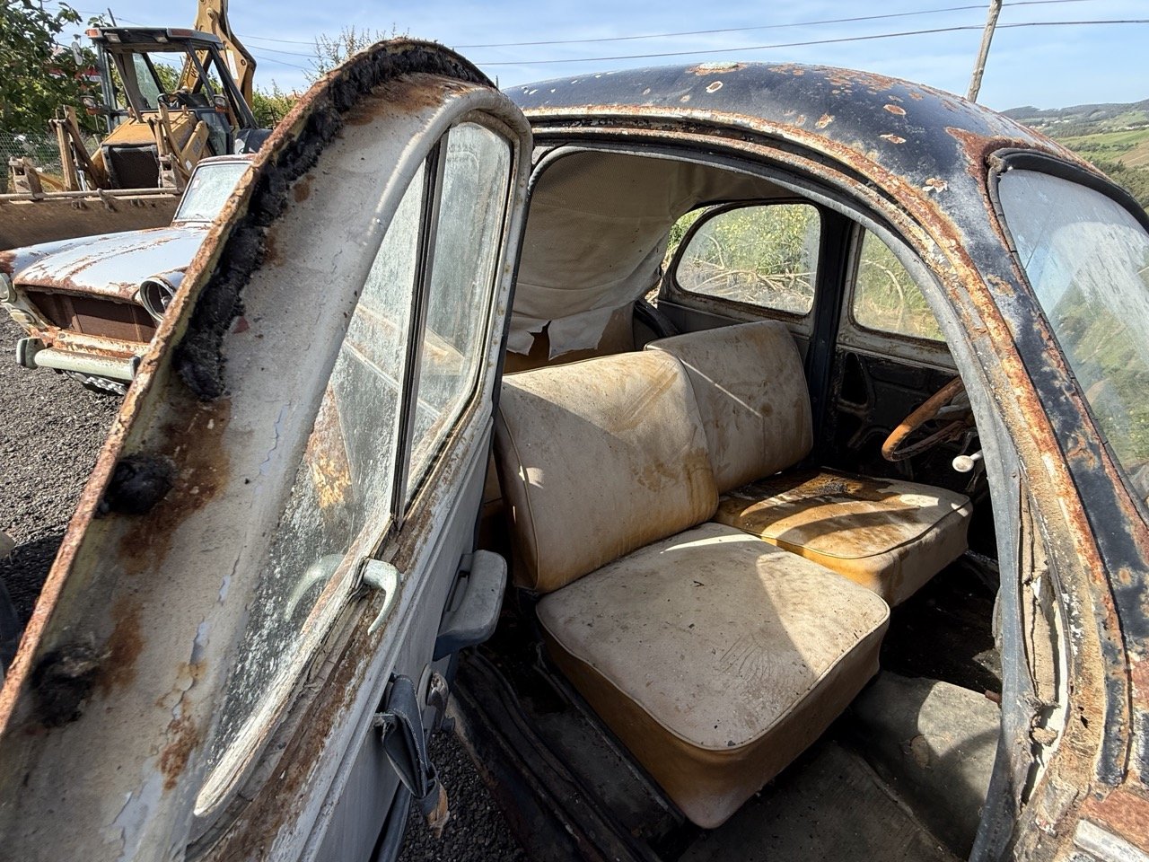 IMG_0407 – grande.jpeg