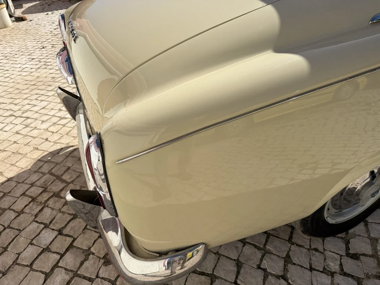 IMG_6731 – grande.jpeg