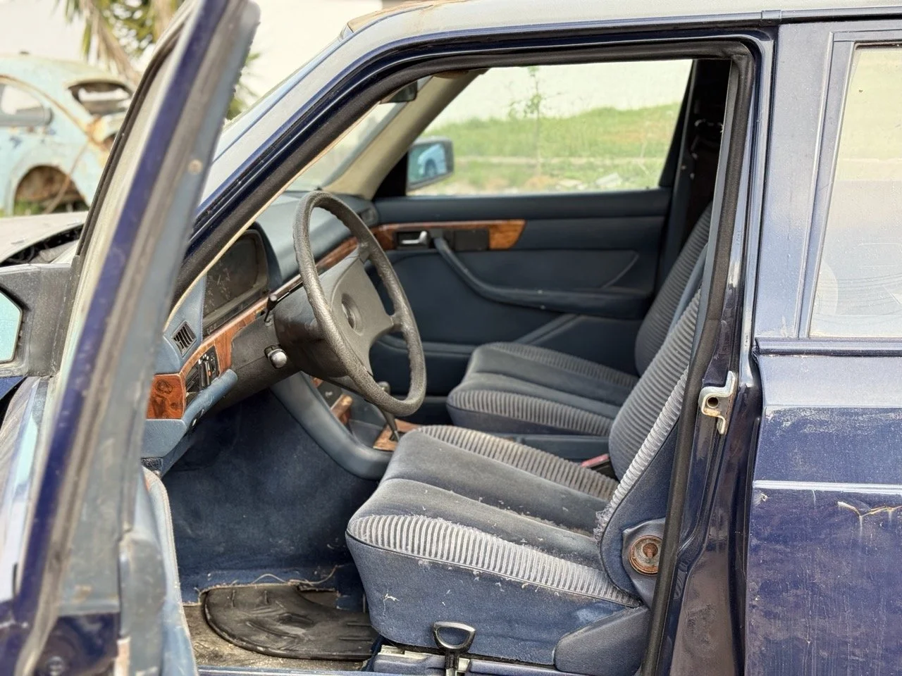 IMG_3349 – grande.jpeg