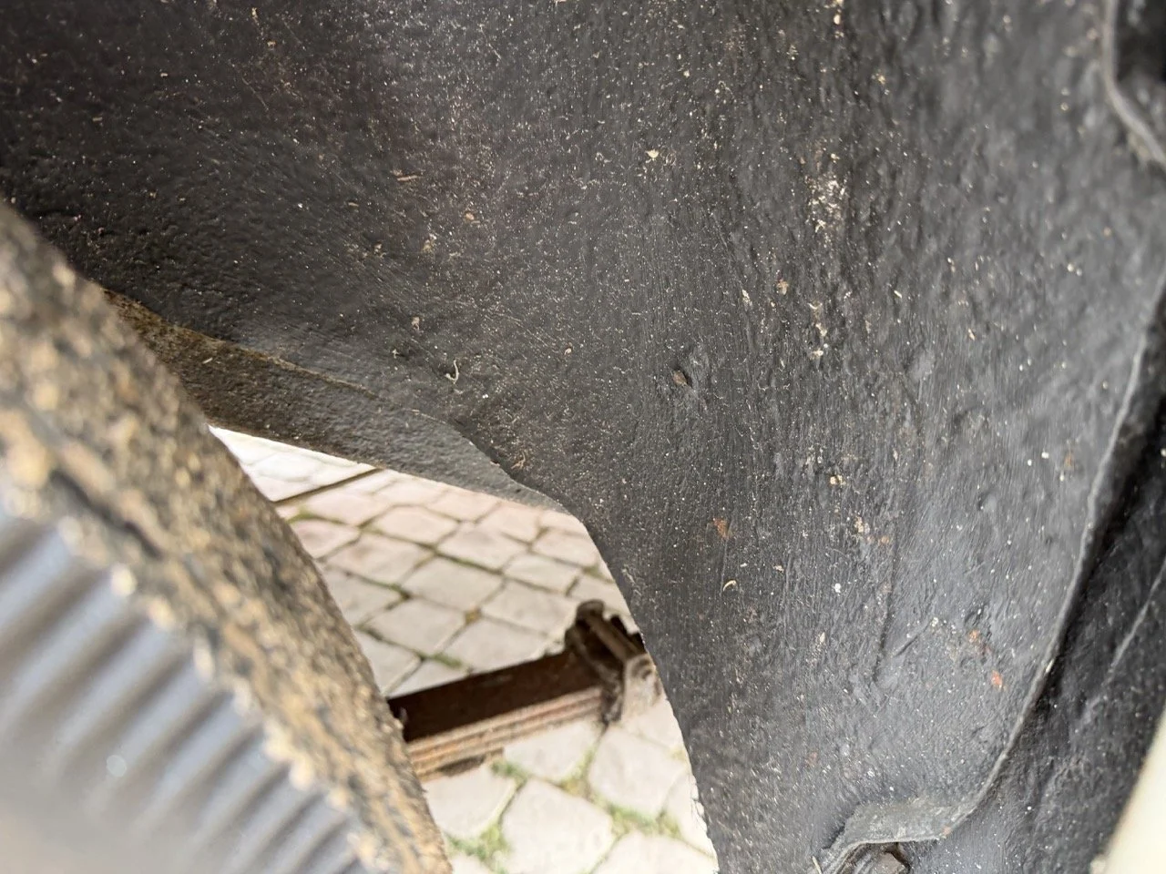 IMG_9896 – grande.jpeg